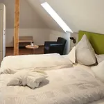 Ruters Parkhotel 4* Willingen (Upland)