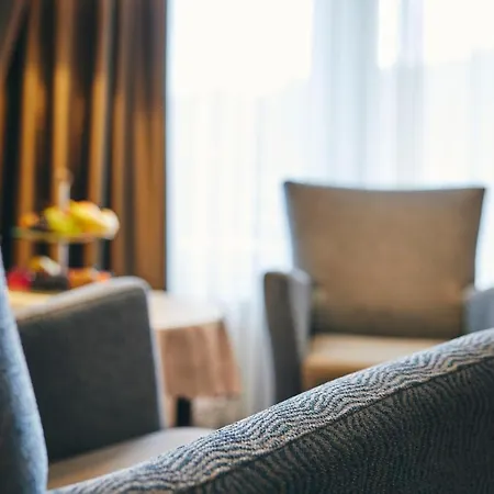 酒店 Vis A Vis Parkhotel 4*