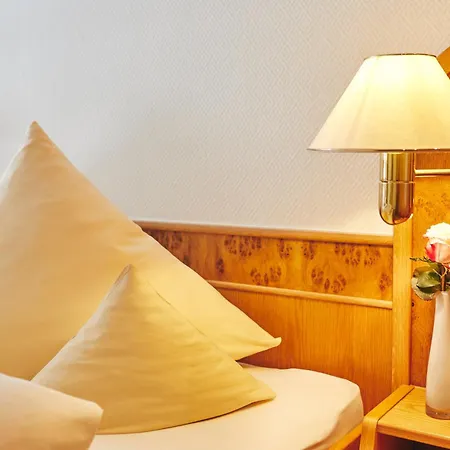 Отель Vis A Vis Parkhotel
