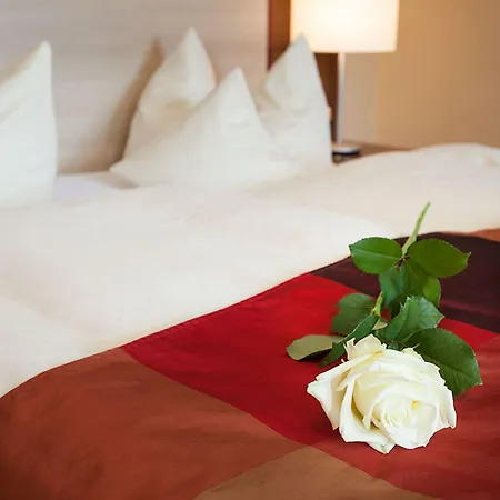 Отель Vis A Vis Parkhotel 4*
