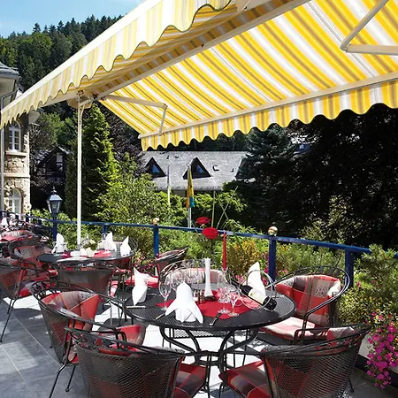 Vis A Vis Parkhotel Отель Виллинген