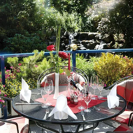 Отель Vis A Vis Parkhotel