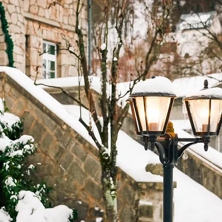 酒店 鲁特斯公园酒店