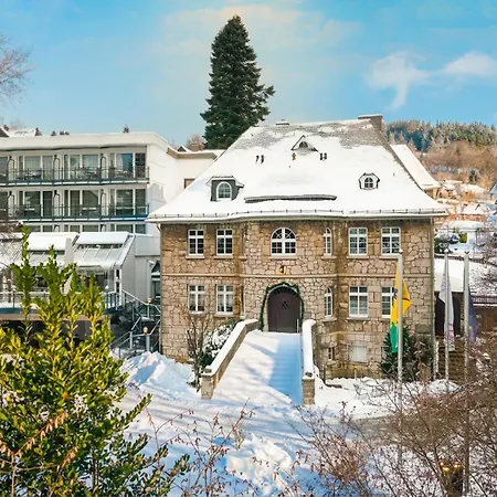 Vis A Vis Parkhotel Отель Виллинген