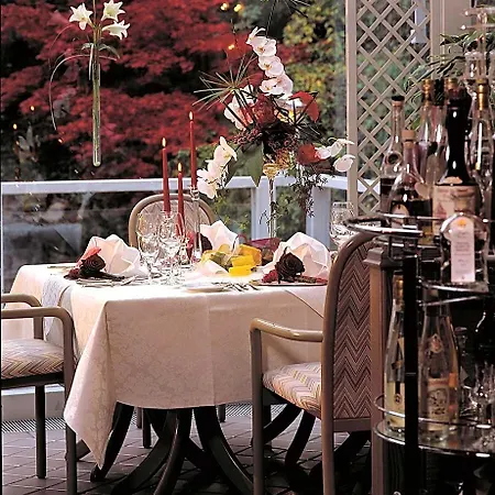 Hotel Vis A Vis Parkhotel Willingen (Upland)