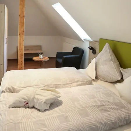 Vis A Vis Parkhotel 4* Виллинген