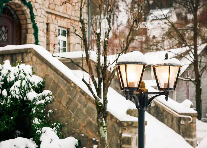 酒店 鲁特斯公园酒店
